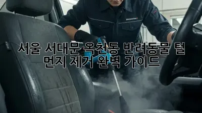 서울 서대문 옥천동 반려동물 털, 먼지 제거 완벽 가이드